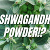 🌿 Why Ashwagandha Powder Is a Game-Changer in ERO’s Adaptogen Complex