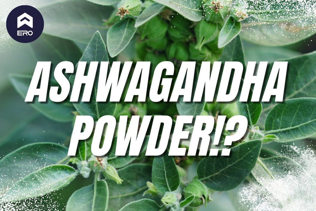 🌿 Why Ashwagandha Powder Is a Game-Changer in ERO’s Adaptogen Complex